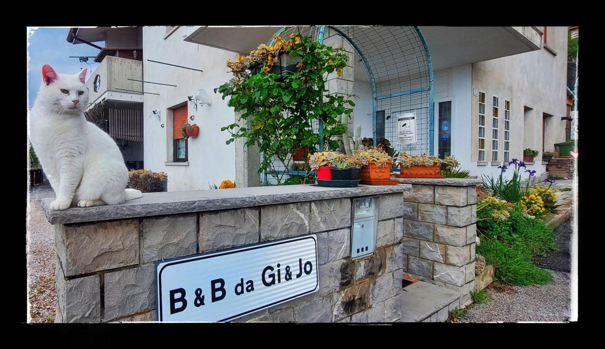 B&B Da Gi&Jo Forgaria nel Friuli Esterno foto